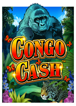 มาเก๊าการวางเดิมพันฟุตบอล: เล่นยังไงให้มันส์!